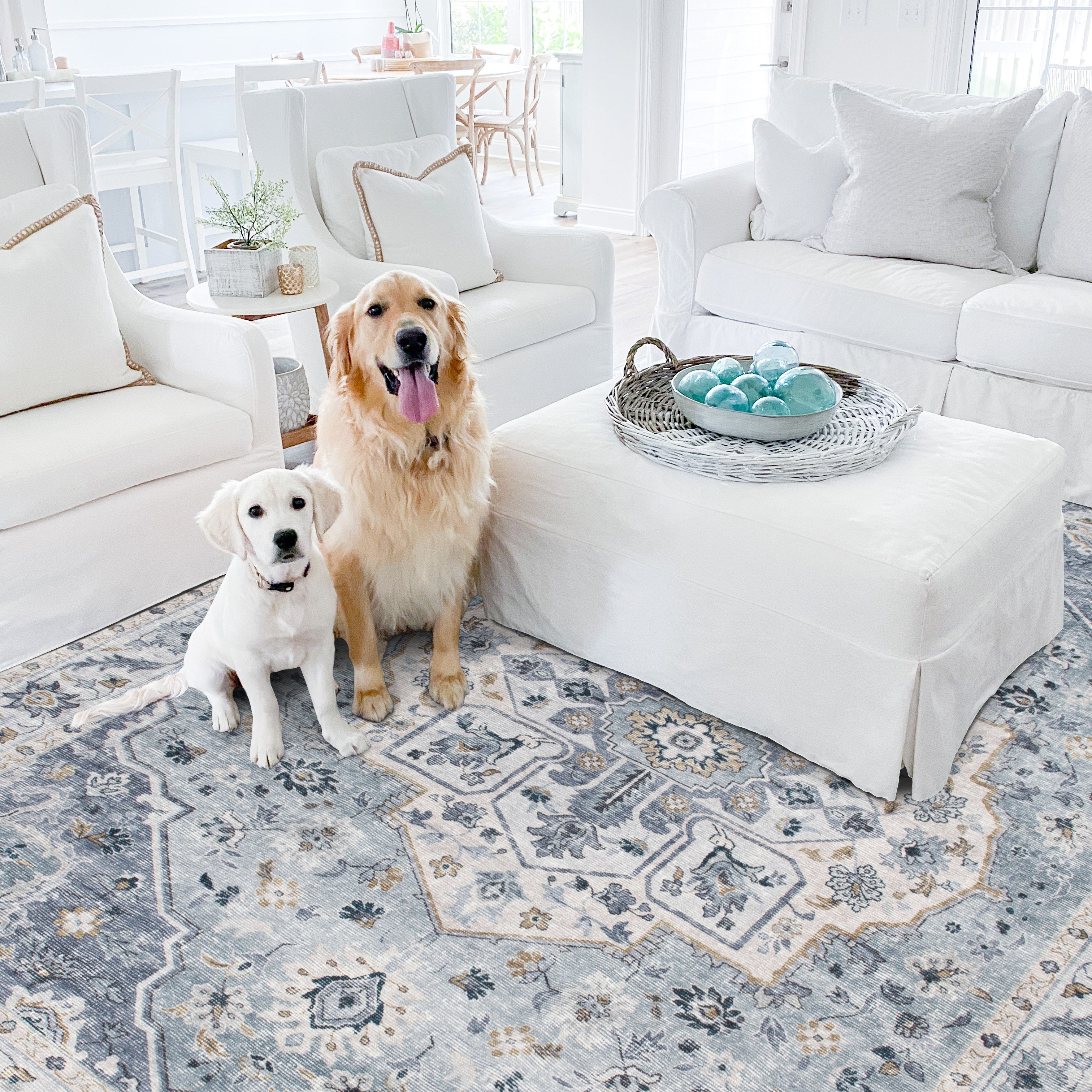 Ruggable Pet-Friendly and Washable Rug Review