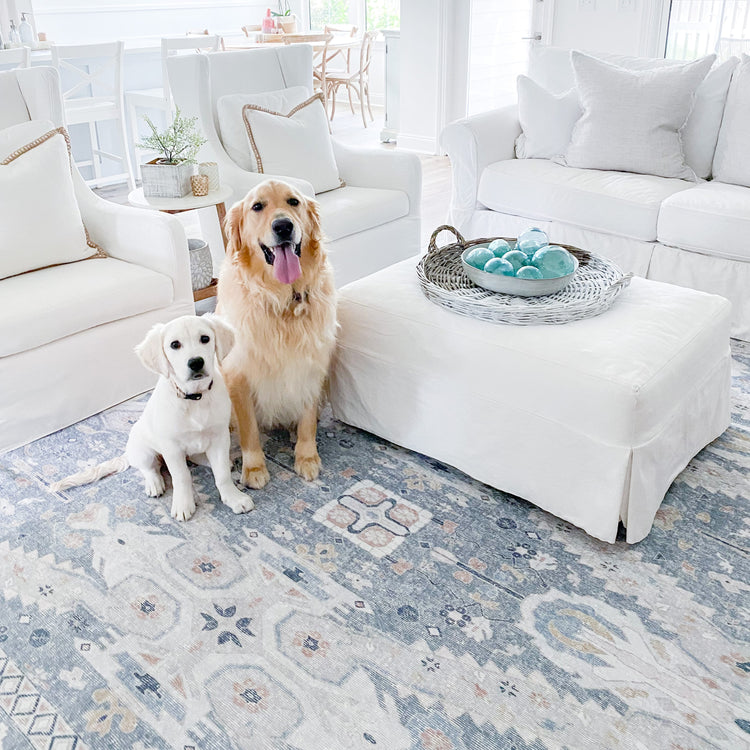 The 10 Best Washable Rugs 2023